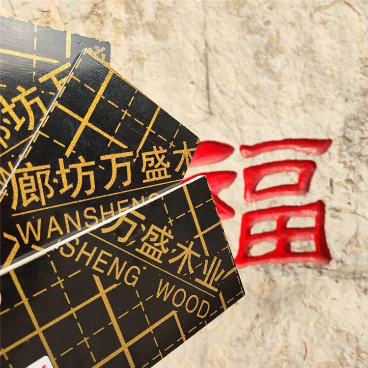 1617090229679166.jpg 3849d9a0-8c08-4357-adaa-5d8a9ad2f522_source.jpg